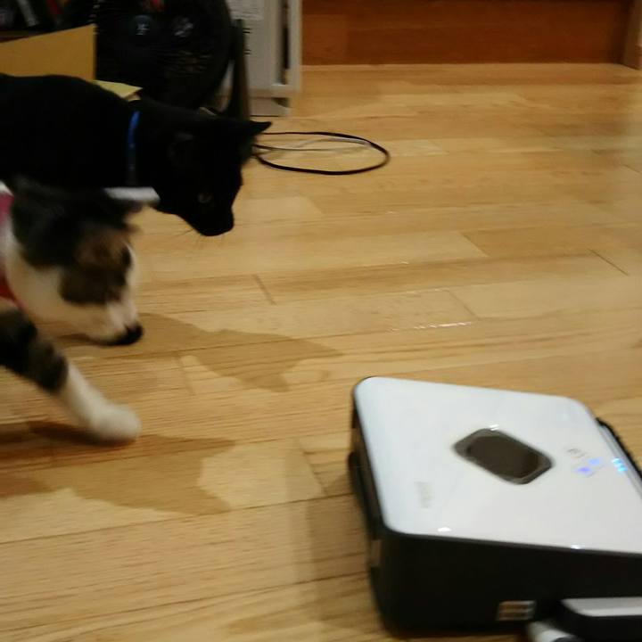 F1cd551a 69c8 4f8c b733 3fe24f6f8370