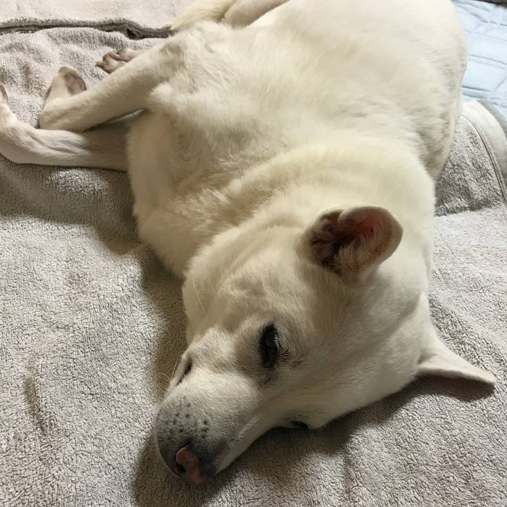 F1ce01a5 8728 4785 8720 c3e1cbbf6676