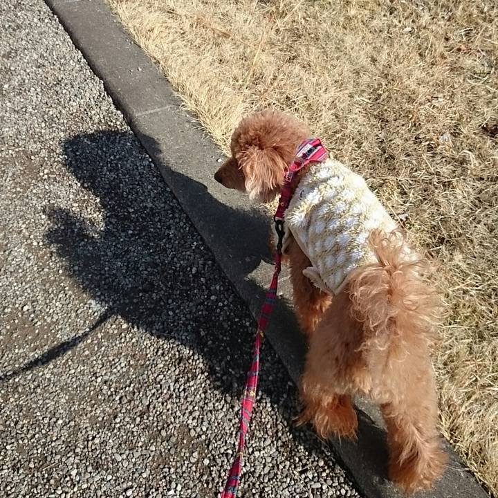 F1ce407d 466a 4ef8 b9e5 8d996232a469