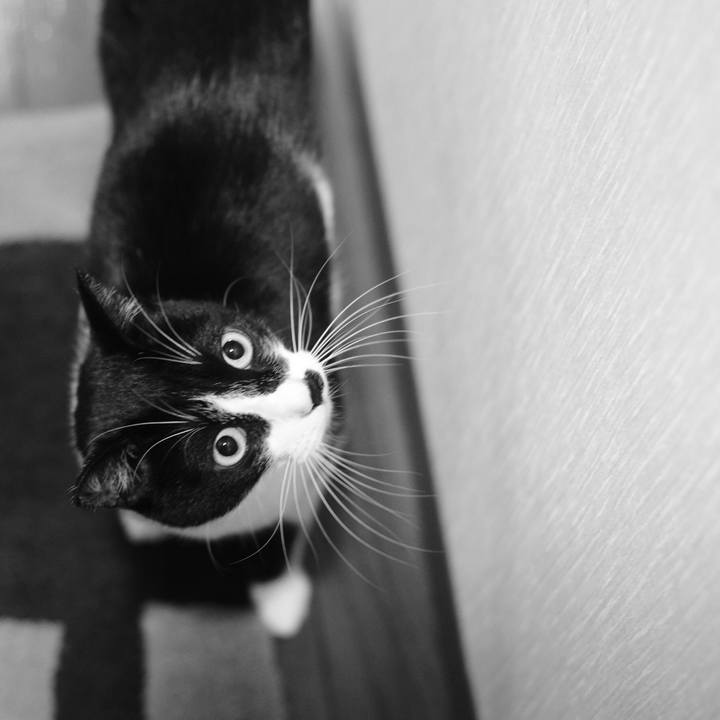 F1ce9ff8 a39a 4ded bffb 3f202da58d62