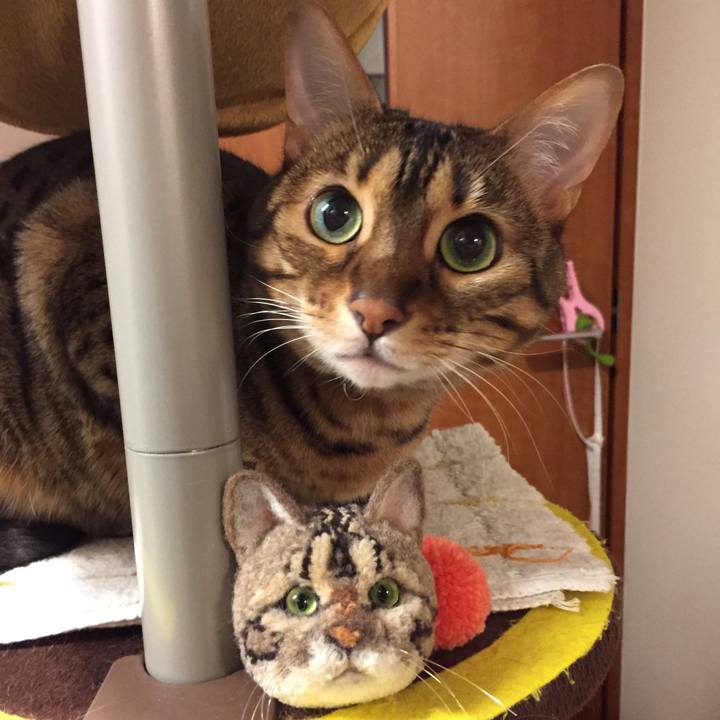 F1cec4c3 e4e1 4957 8030 297839a58f8f