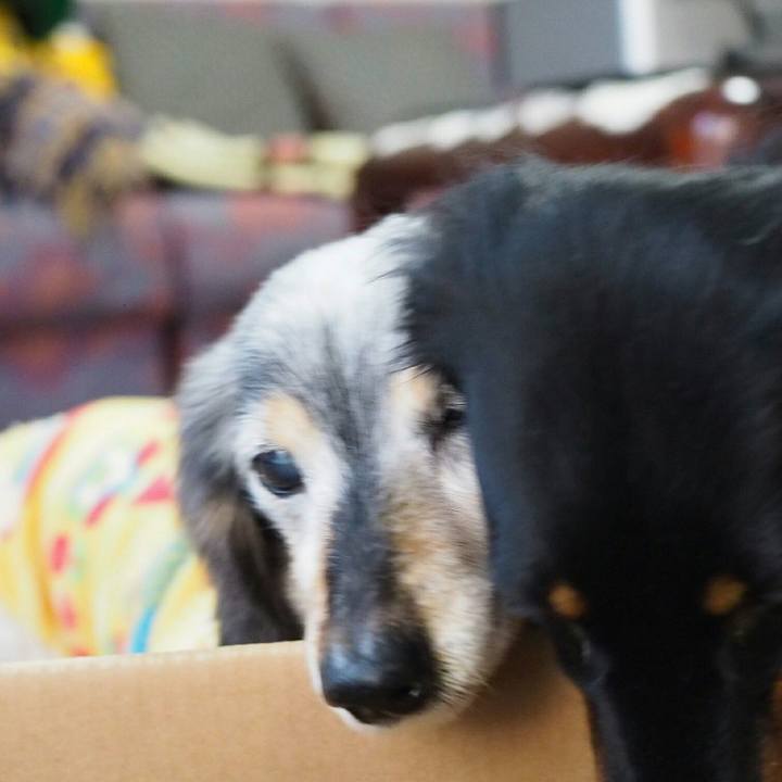 F1cee49c a2a9 4ffe 9d91 a900a7cc9687