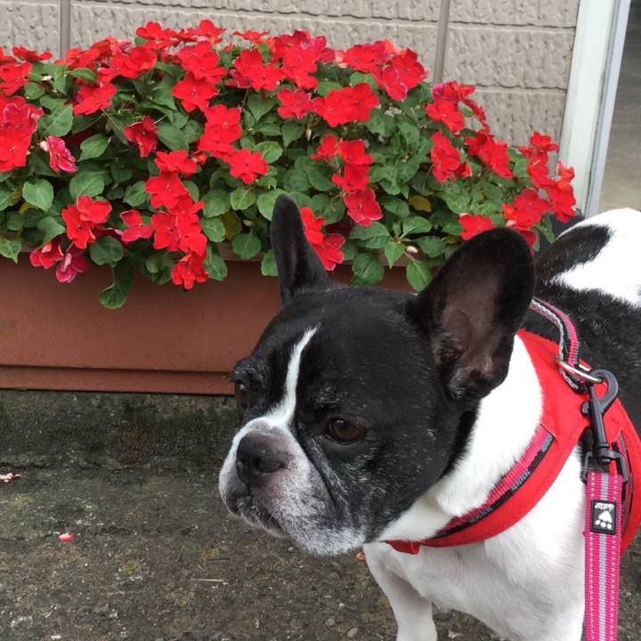 F1cf9b21 ae3b 4168 9d99 e8e00f336d30