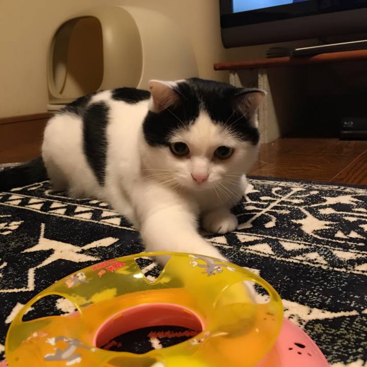 F1d01a11 3f39 40b4 9818 3b0ab38094f0