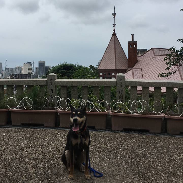 F1d0902b 7999 4761 820c 81a82f82fde5