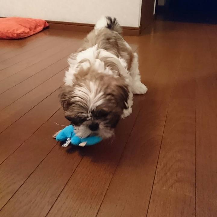 F1d09c46 64c2 406e be3e 5bb32761fa12