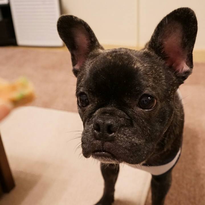 F1d0f232 04d0 4844 abf4 764feb5926a2