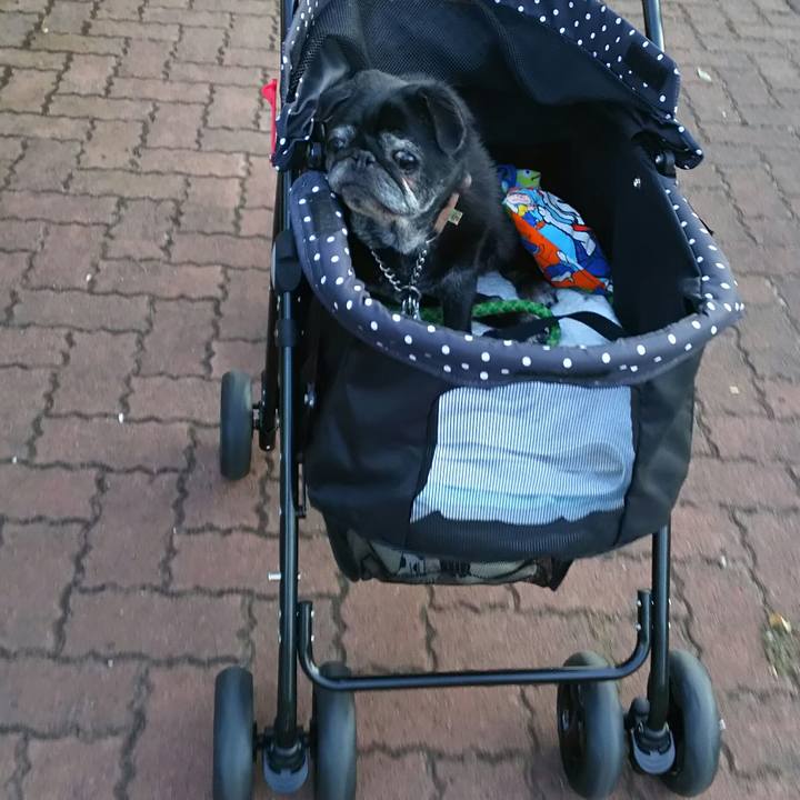 F1d149f0 ff99 4cba b342 c88500b1cdbb