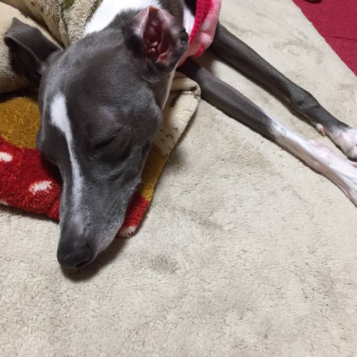 F1d16ae9 059c 45db b705 03eb2f19ba67