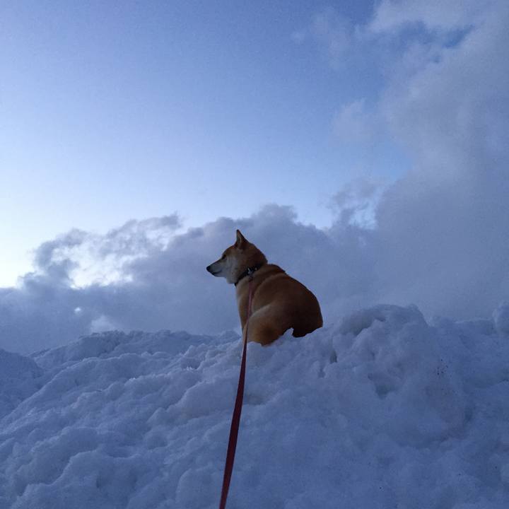 F1d182cc 7fab 4bc0 9bbf 1dc14e83ceb2