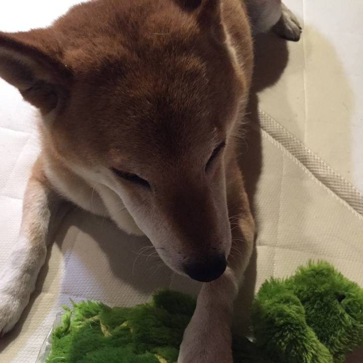 F1d25e34 75b7 4ccb bdca 4d366abef4f9