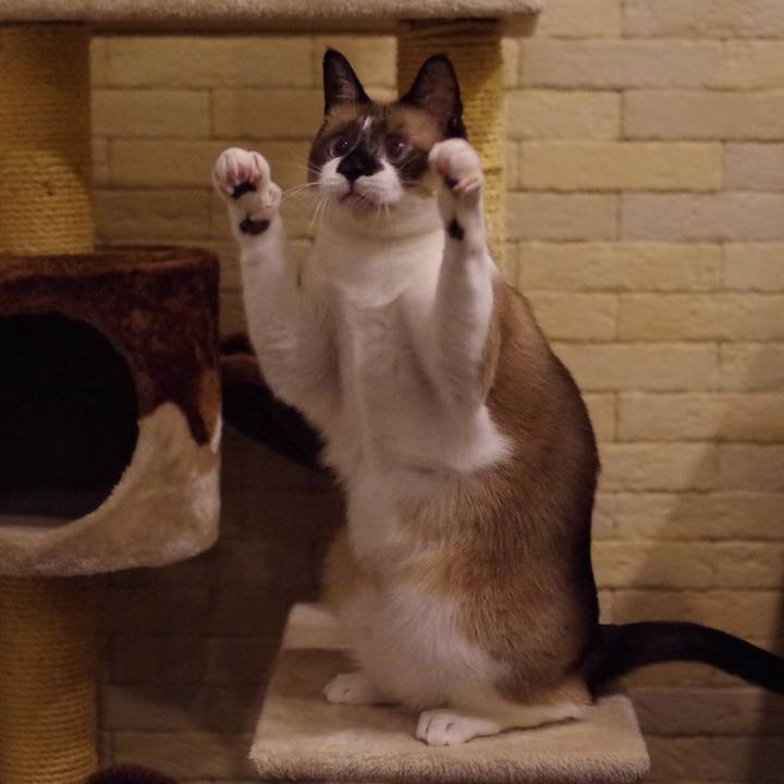 F1d2d62b 7bdb 41f3 8763 ac67c50b5ce3