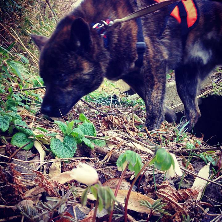 F1d2f2b7 4546 48af a6e7 05c69d5f4dc0