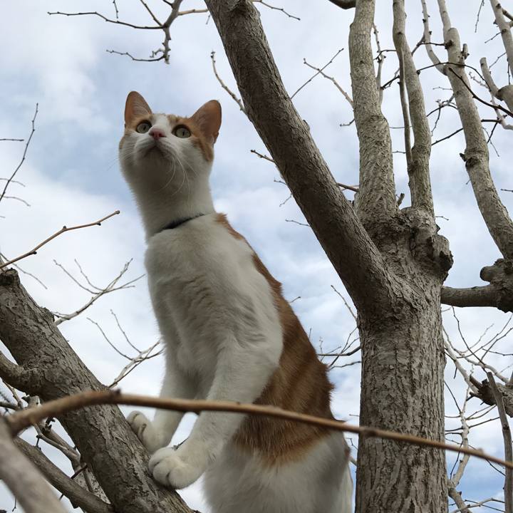 F1d347ac 20e5 4bd3 a3ad 27f61c01e4ce