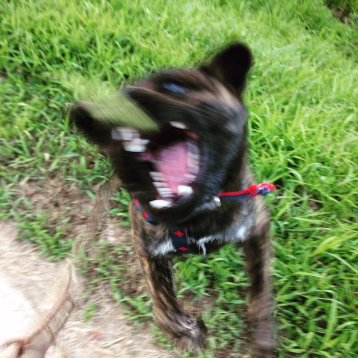 F1d34db9 7942 439f b191 337c10036924