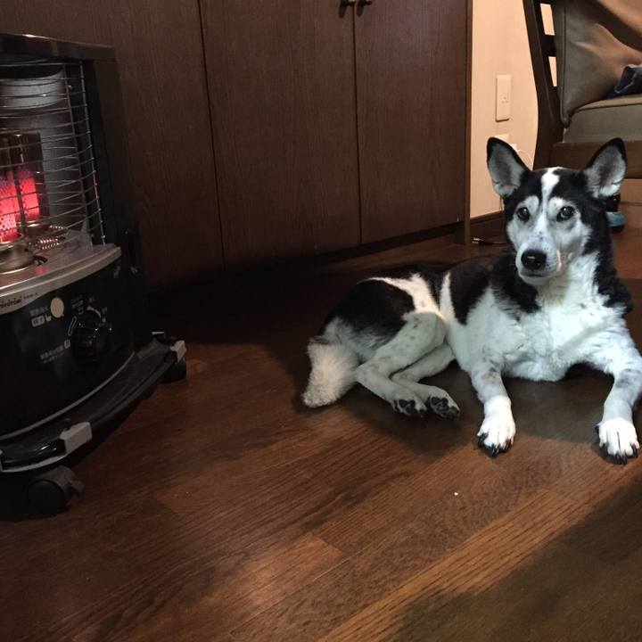 F1d3588c f83b 47a0 99a0 e820d6b5e07e