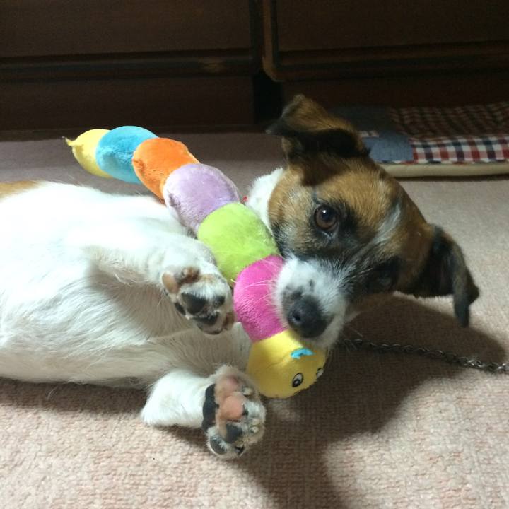 F1d3c8fd 8391 4d42 8a82 1fa57e5750bd