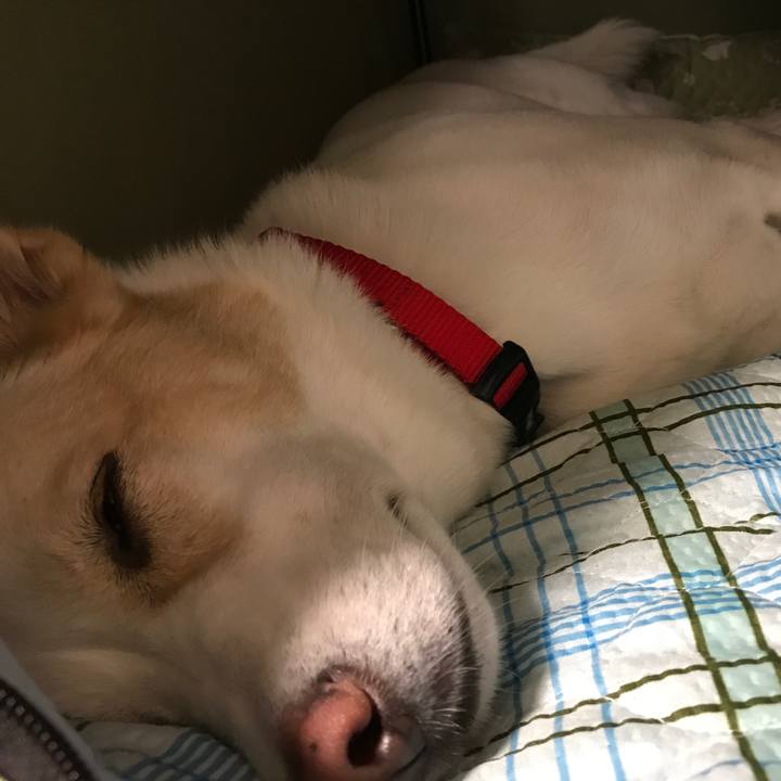F1d3d64c 0c76 4493 b1f3 1977f1efe453