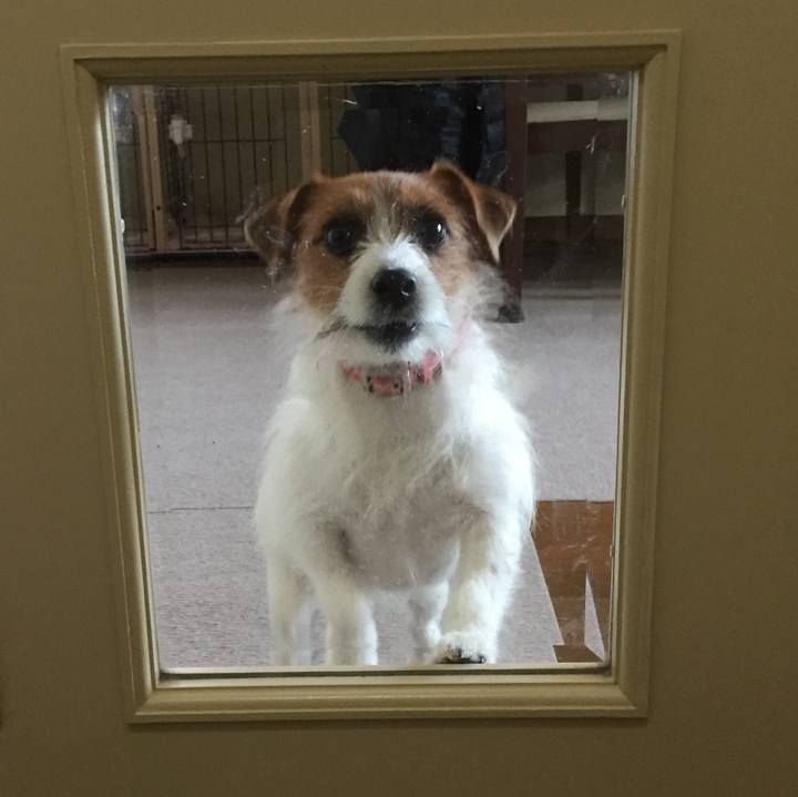 F1d3fd9b 1066 4861 bff6 63325a8e2455