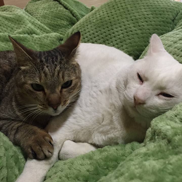 F1d474ac 263d 47d9 89f5 5a2f981ed511