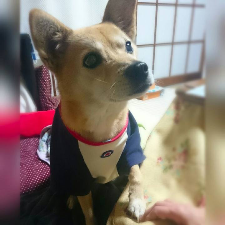 F1d492bd b38f 4419 8d27 9c73af000e1c