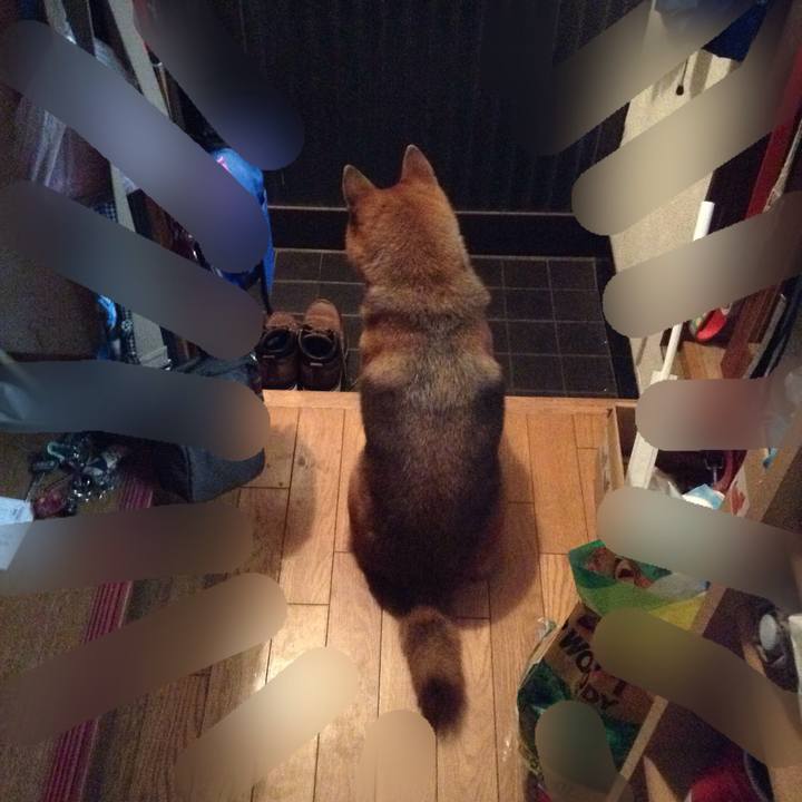 F1d4b5db 52f1 47ec b639 c940c78b3f1f