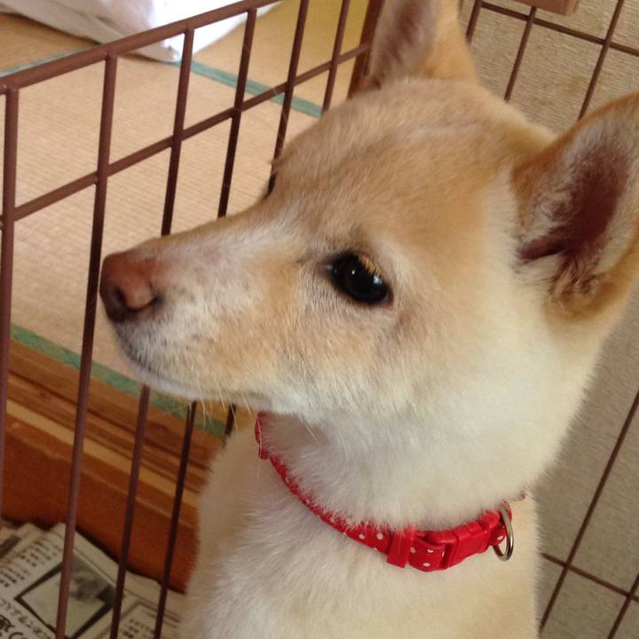 F1d4c1a9 fcab 4ddc bde3 5a9c323de252