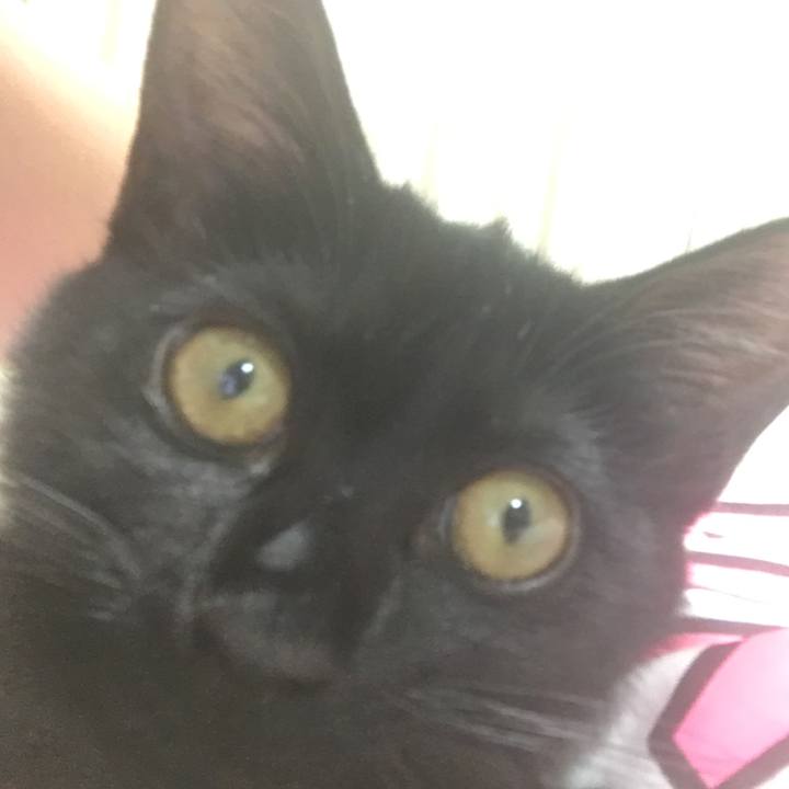 F1d57edb 1213 4cf0 b43c ab56a14c0c3e