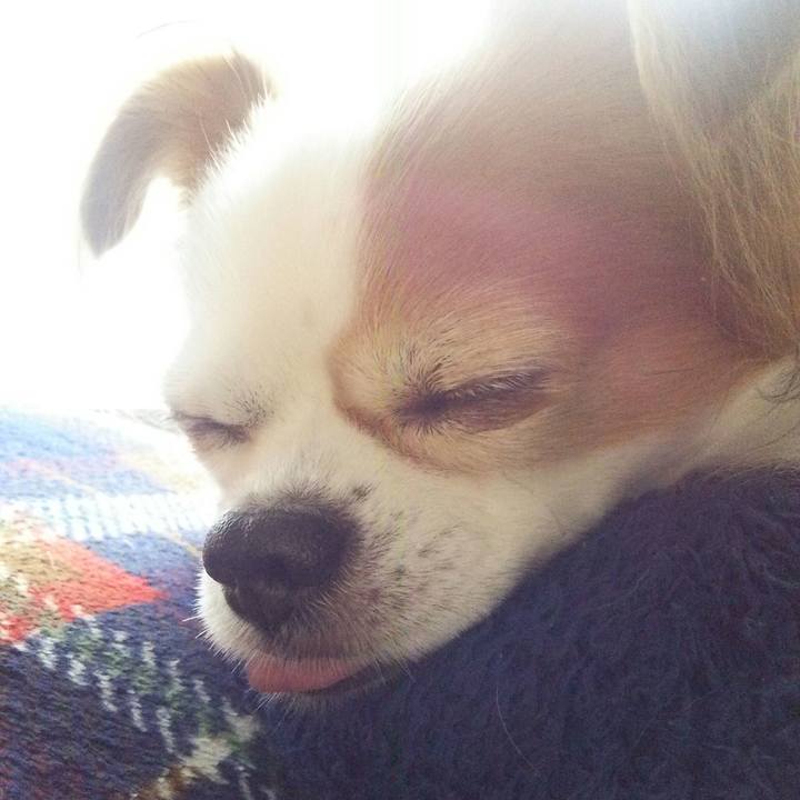 F1d5b66d 1339 44cf 90fc 5e10e8b55dc8