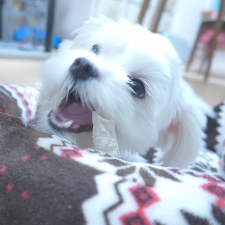 F1d6623e 8b7b 4e98 8e5b 49cf5feccbb2