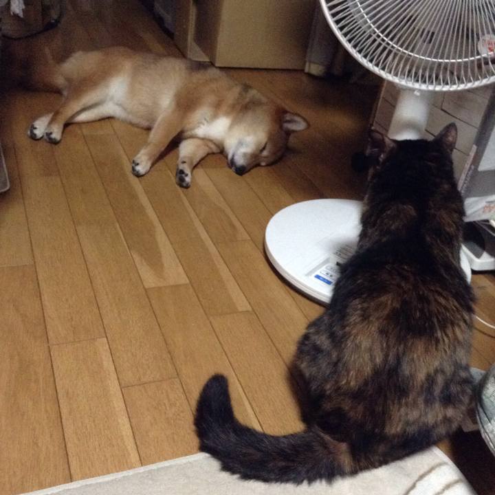 F1d792c2 17d6 4f27 abaa 13610ebd9603