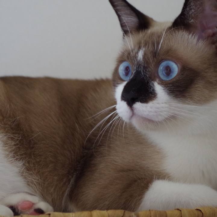 F1d79f49 b852 40fa a3ec bb455265e2cf