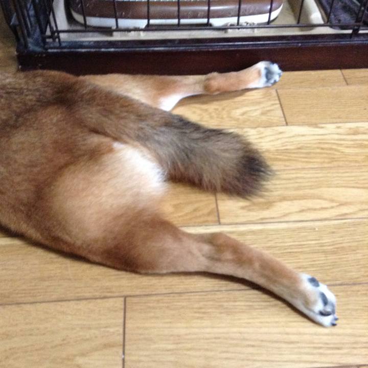 F1d7c4b5 2e27 4144 836d 6ba9b787fe07