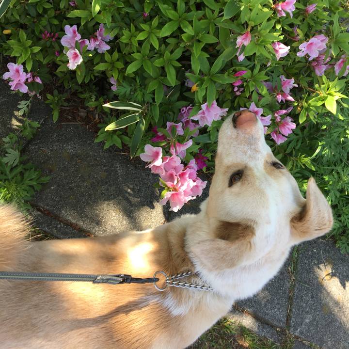 F1d7fbc9 af6b 4346 af11 a183988fecf6