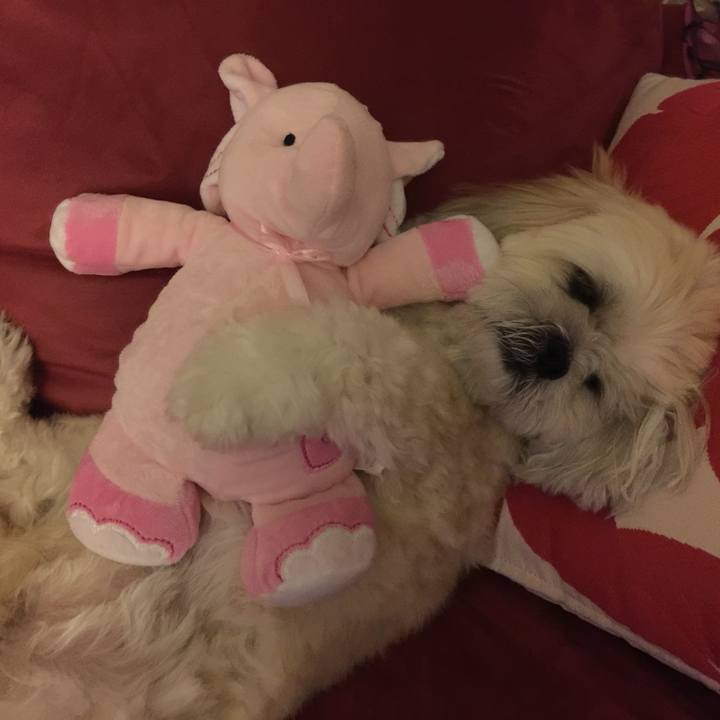 F1d8a433 60b8 4e49 9855 8e88d36fb5bd