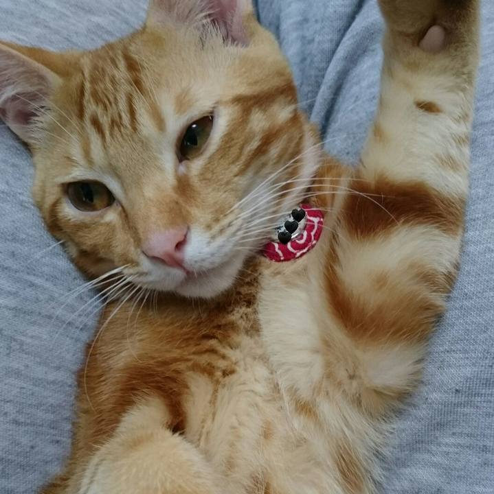 F1d8add0 cf8e 4b63 8bfb 4ca20a9cecdd