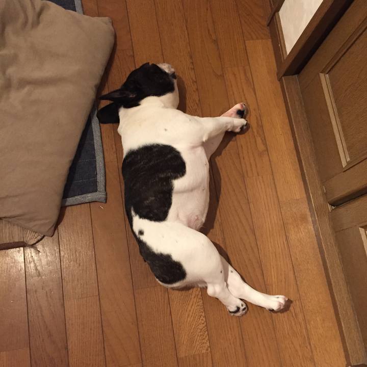 F1d8d9b8 20fc 418f b35e 271be606c0d9