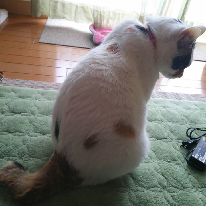 F1d90dd8 3229 4b20 954b 3308ca220aac