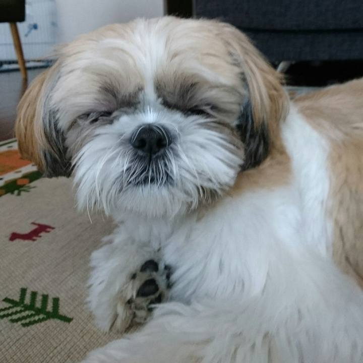 F1da346a 0ba5 4374 b560 7b1d5a2a1515