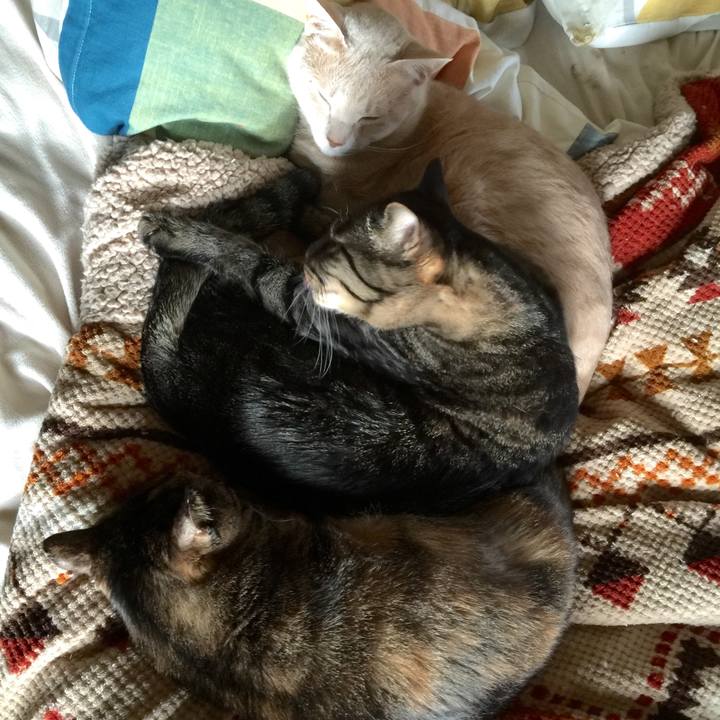 F1daa9c4 6ee0 42eb 9d89 8d832ae7d02b