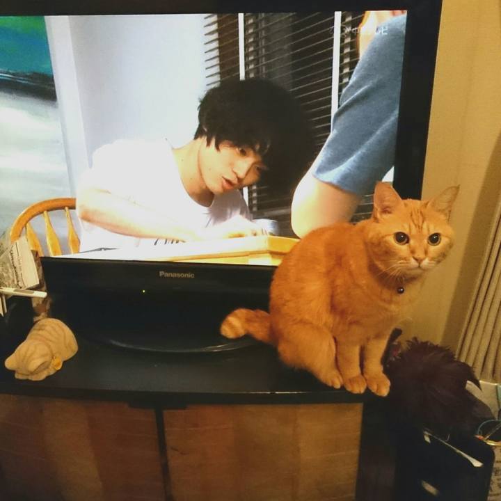 F1db2efd 899f 4777 8c33 64647abecc34