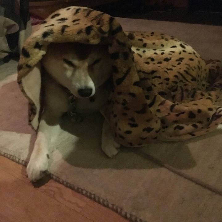 F1db4278 d053 4374 8ac7 93b8dd116c21