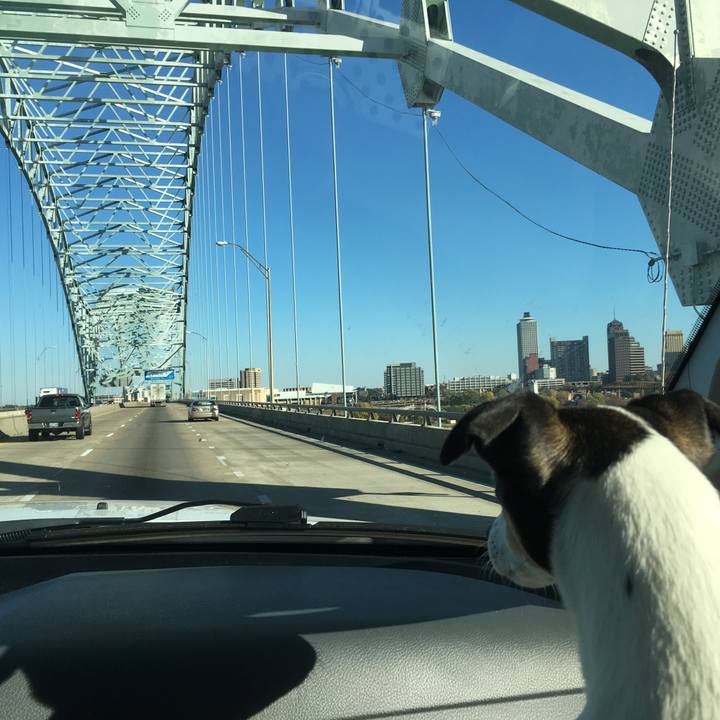 F1dc4160 ab71 466c 8e08 7ff71b6a2e89