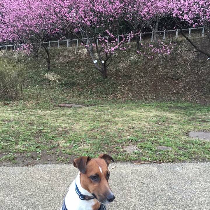 F1dc65c2 d22b 41b8 8051 ae9ac65144b7