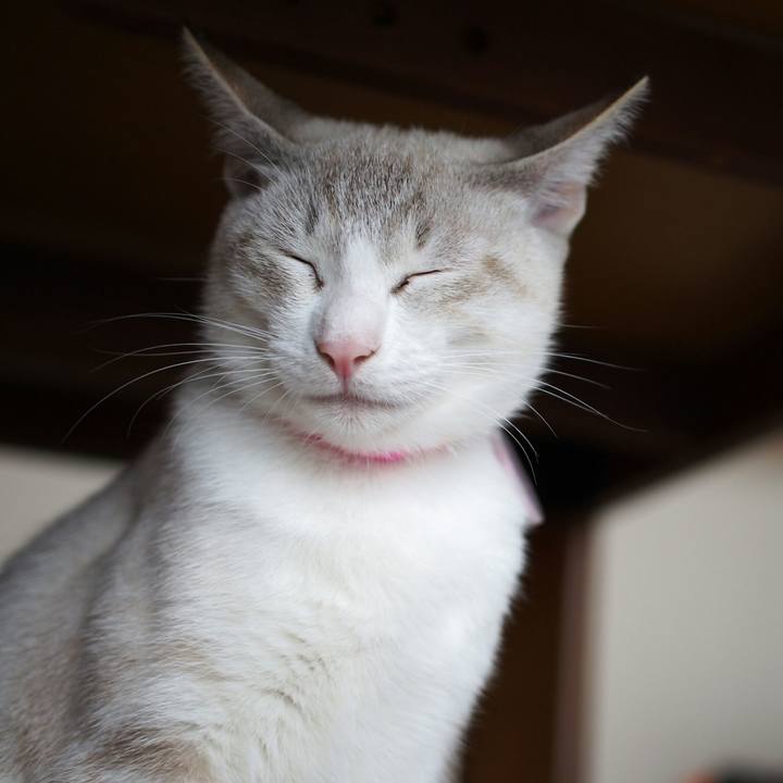 F1dcd2fd f500 4656 845e 7d45902726a9