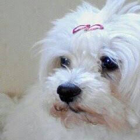 F1dcf633 5dc0 49bd a3a5 b468fddb65b9