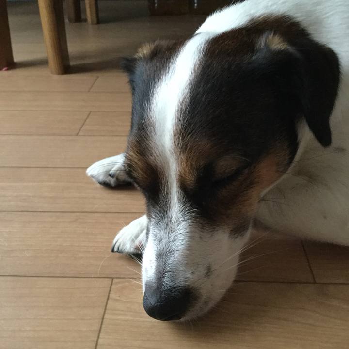 F1dd5922 ef19 4b17 ba55 6daec4bee2cd