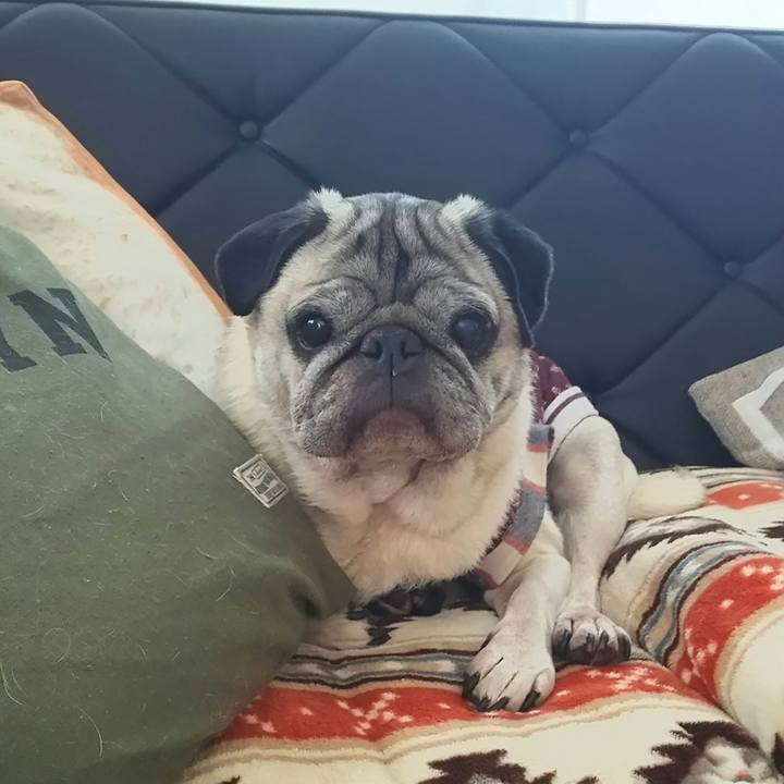 F1dd9c77 5128 4c31 9a07 840497b13e22