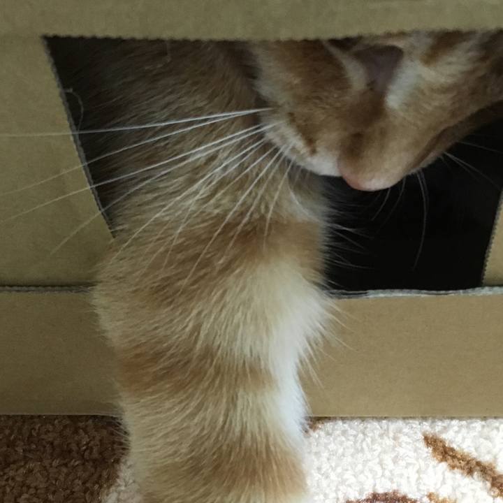 F1dec61e b774 47e5 8d34 f4e421e1d546