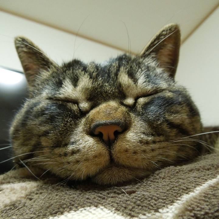 F1df10f0 4380 4ccb bce3 f7e2bf053b4f